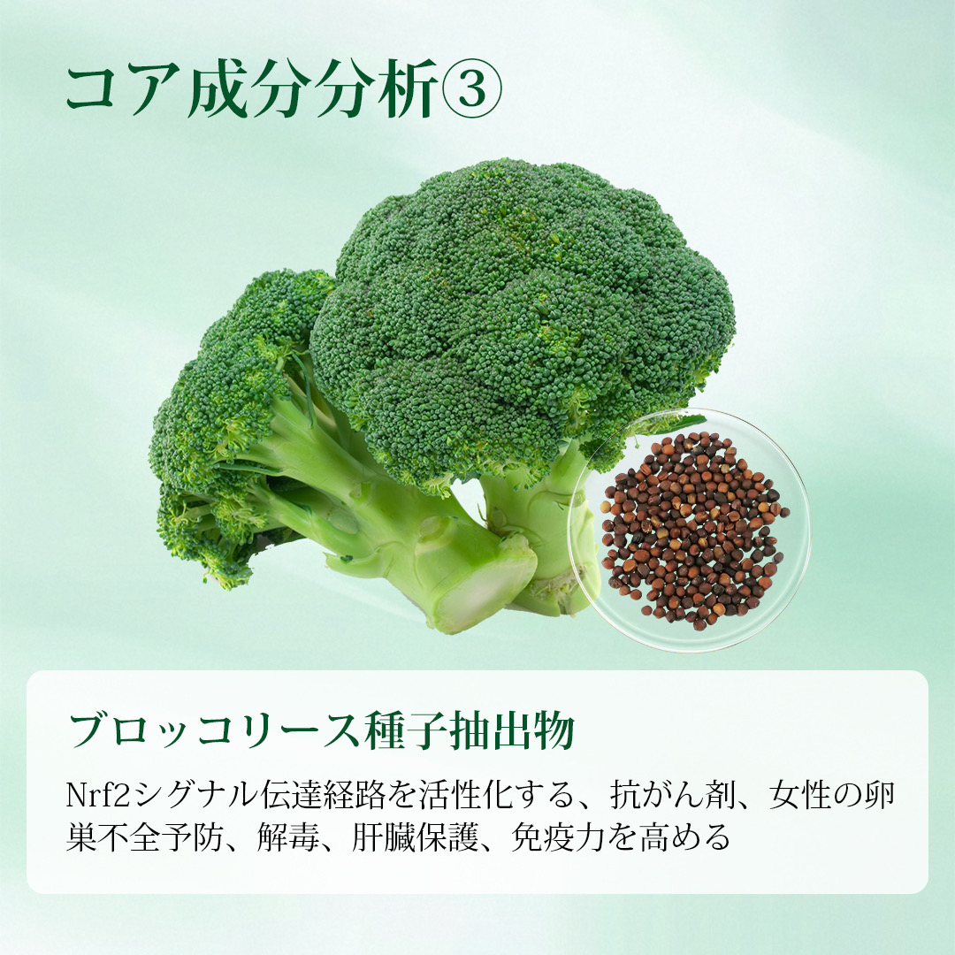 成分分析3