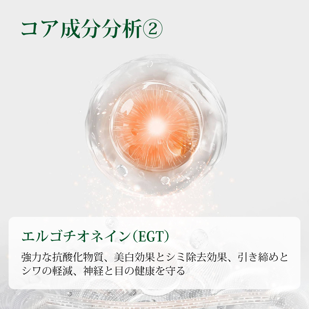 成分分析2